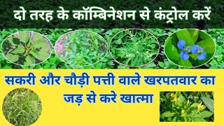 सोयाबीन के लिए बेस्ट कॉम्बिनेशन के साथ  Best combination Herbicide  Iris Enzip centurion [upl. by Demy]