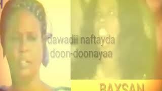 idaaya idaaya Lyrics Saynab Xaji Cali Baxsan [upl. by Aissak547]