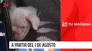 El 1 de agosto cambia la normativa para viajar con mascotas a Estados Unidos  24 Horas TVN Chile [upl. by Eletnahs]