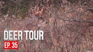 CRAZY RUTTING FOOTAGE Intense Deer Vocalizations  DEER TOUR E35 [upl. by Bainter]