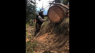 Big logs and Billy Goat Single Track Trails in the North Cascade Mountains [upl. by Airbmat]