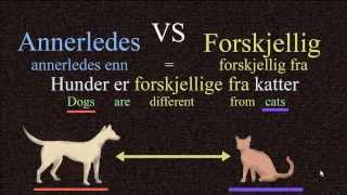 Annerledes VS Forskjellig  Norwegian Language Bokmål [upl. by Yseulta48]