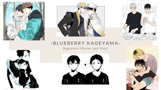 Love the Mafia Boss •• Kageyama Harem series pt 1 [upl. by Eceinehs286]