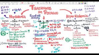 Trastornos del Potasio Hipopotasemia e Hiperpotasemia Hipo e hiperKalemia [upl. by Gronseth]