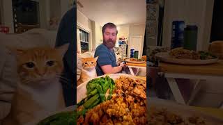 When your kitten sneaks your food The cutest thief ever funnyvideos funnycat funnyanimals cats [upl. by Nail]