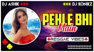 Pehle Bhi Main Reggae Vibes  Animal  DJ Ashik X DJ KoNiKz  Vxd Produxtionz [upl. by Eseerehc540]