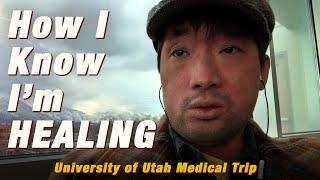 Sign of severe allergies improving RECOVERY SPEED to allergic reactions eczema asthma  Ep242 [upl. by Ahcarb]