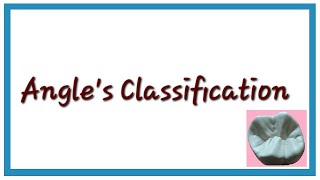 Angles Classification of Malocclusion  Orthodontics  Dental Occlusion [upl. by Ranna]