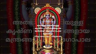 krishna kannan song [upl. by Aidroc]