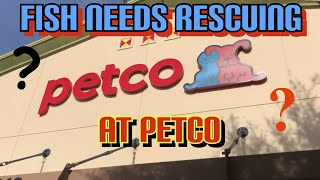 Rescuing FISH at PetCo [upl. by Alisha]