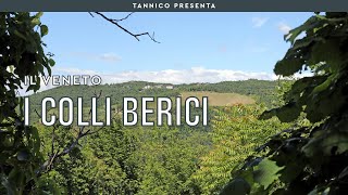 La risposta veneta ai Supertuscan i Colli Berici  Tannico Flying School [upl. by Ettenom]