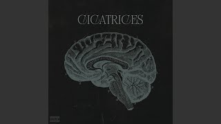 Cicatrices [upl. by Shaine]