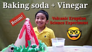 Vinegar and Baking Soda Science Experiment  Volcanic Eruption [upl. by Ymmat]