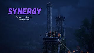 Synergy Sausage vs Synergy Friendly Fight Highlights  Throne and Liberty [upl. by Matthus]