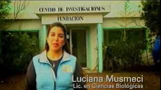 Comercial  Detergente Magistral  Rescate Magistral  Pinguinos [upl. by Mauve]