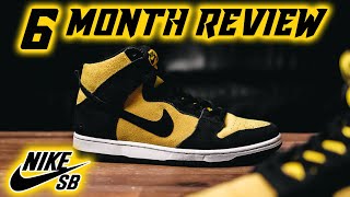 6 Months On  Nike SB Dunk High Reverse Goldenrod Review [upl. by Atnuhs33]