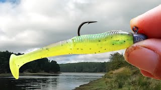 SOFT PLASTICS FISHING FOR BEGINNERS [upl. by Dodi540]