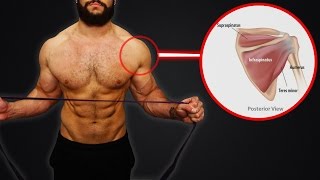 3 Simple Rotator Cuff WarmUp Exercises That You NEED To Be Doing DONT NEGLECT THESE [upl. by Ardiek]