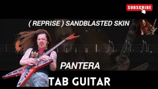 PANTERA  REPRISE SANDBLASTED SKIN  TAB GUITAR [upl. by Steward219]