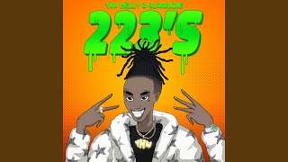 223s feat 9lokknine [upl. by Nwadrebma]