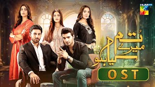 Tum Mere Kya Ho OST Lyrics  Nabeel Shoukat Ali  Adnan Raza Mir  Ameema Saleem  HUM TV [upl. by Nimsaj]