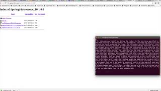 introscope installation [upl. by Nesyt]