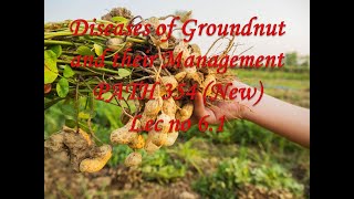 Diseases of Groundnut and their Management PATH 354 New Lec no 61 [upl. by Jefferey879]