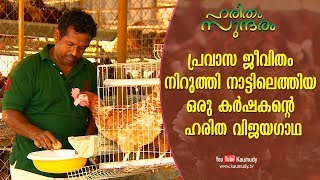 The profitable farming life of a Pravasi Keralite  Haritham Sundaram EP 195  Kaumudy TV [upl. by Eelek470]