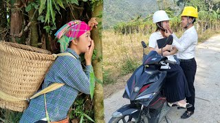 Girl Harvest tangerines to sell at the market and The surprise seeing her Husband with another Woman [upl. by Tap]