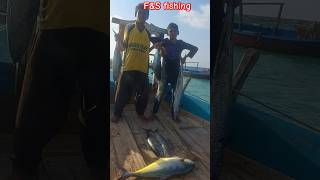 Mackeral fishing trolling fishingcharna fishing shortvideo [upl. by Akcira]