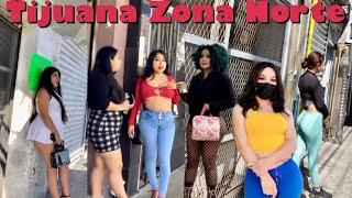 Tijuana Zona Norte Hidden Gems  Reliving 2023 [upl. by Irakuy988]