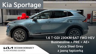 Kia Sportage 16 TGDI 230KM 6AT HEV Businessline  PRE  AE Yucca Steel Grey na KOŁACH ZIMOWYCH [upl. by Slein916]