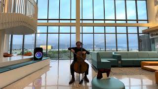 Schumann Widmung cello karaoke [upl. by Tristam]