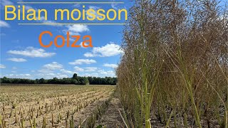 Bilan moisson 2024 Colza [upl. by Manus]