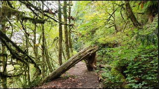 Exploring the Lime Kiln Trail with Gertrude amp Geezer [upl. by Camellia721]