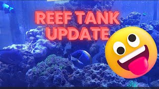 Reef Tank Update [upl. by Mathian]