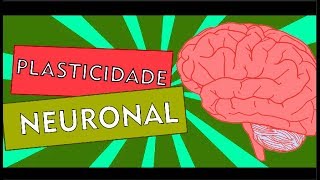 PLASTICIDADE NEURONAL  NEUROSTUDENT 15 [upl. by Rusticus22]