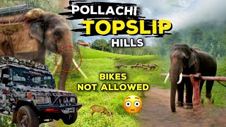 Topslip Forest Ride Elephant Safari Pollachi best Places  Balasvoyage [upl. by Kcirdef]