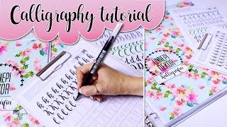 Calligraphy writing Tutorial for beginners  Kalligráfia kezdőknek [upl. by Natsirc]