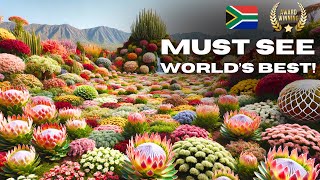 Worlds Best Flower Show  Now in South Africa Dont Miss It [upl. by Malorie256]