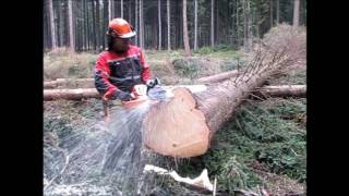 Chainsaw Husqvarna 560 XP or 562 XP [upl. by Llenej428]