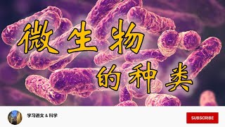 KSSR SN 科学 6年级 单元3：微生物的种类 Type of Microorganisms [upl. by Thisbee]