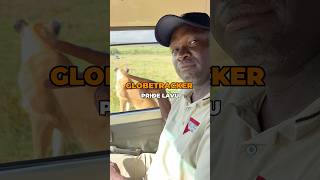 🇰🇪Masai Mara safari  thetomislav tomislavraukovic [upl. by Moreno]