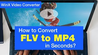 How to Convert FLV to MP4 in Seconds [upl. by Eleonore138]