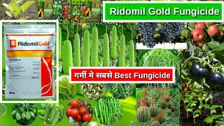 Metalaxyl 4  Mancozeb 64 WG  Ridomil Gold Systemic and contact fungicide Agriculture [upl. by Erlina]