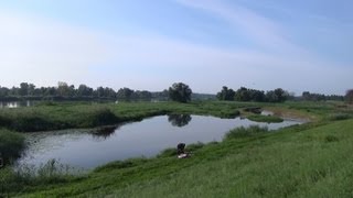 Oderangeln mal anders  In den Restlöchern nach dem Hochwasser [upl. by Ymorej831]