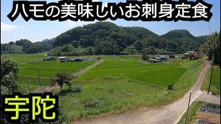 小鉢も旨いお刺身定食と絶景集落のダイナミックな滝【奈良 宇陀】 [upl. by Ztirf]