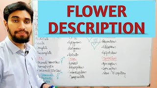 DESCRIPTION OF FLOWER  TECHNICAL TERMINOLOGY OF FLOWER  Zeeraks Biology [upl. by Friedly]