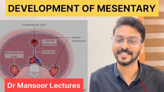 Development of Mesentery  Anatomy Dr Mansoor Malayalam Lecture [upl. by Ibbison]