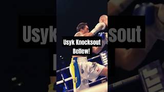 Usyk vs Bellew KNOCKOUT Full Fight Highlights fighthighlights usyk tonybellew knockout [upl. by Latonia330]